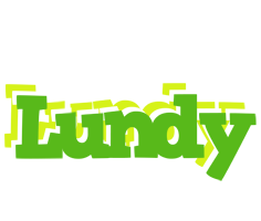 Lundy picnic logo