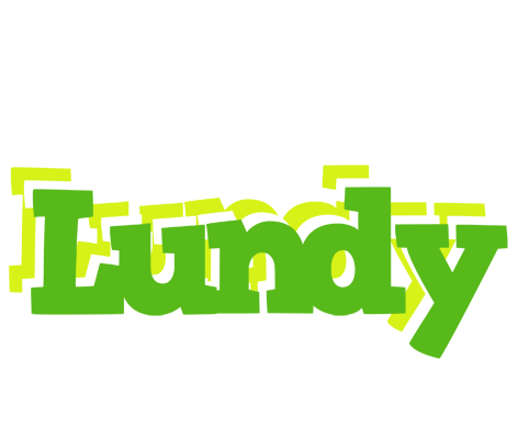 Lundy picnic logo