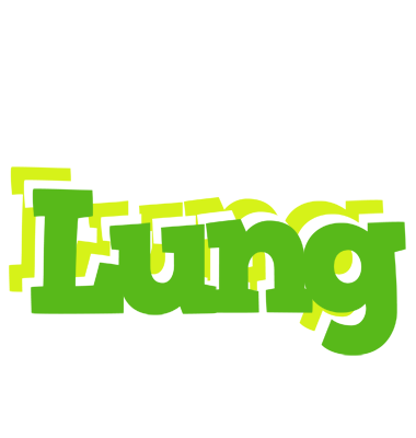 Lung picnic logo