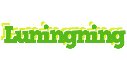 Luningning picnic logo