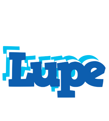Lupe business logo