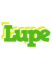 Lupe picnic logo