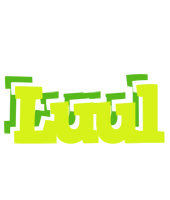 Luul citrus logo