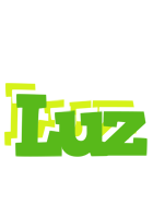 Luz picnic logo