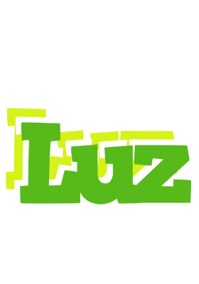 Luz picnic logo