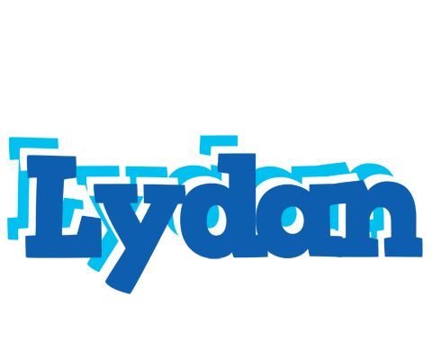 Lydan business logo