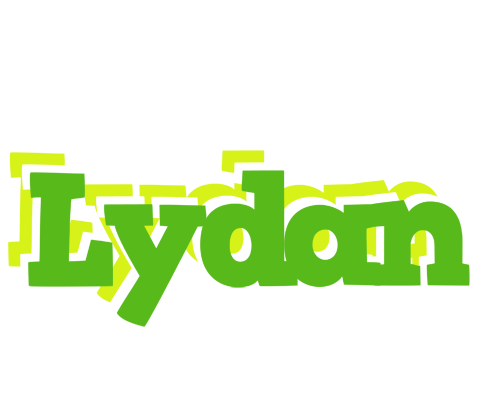 Lydan picnic logo