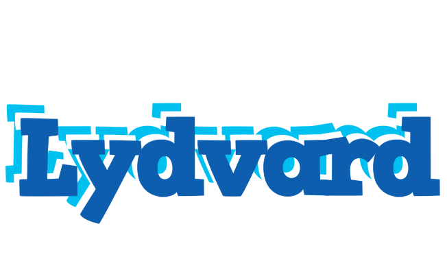 Lydvard business logo