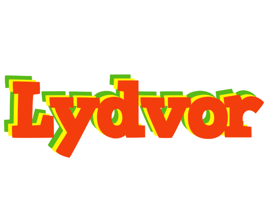 Lydvor bbq logo