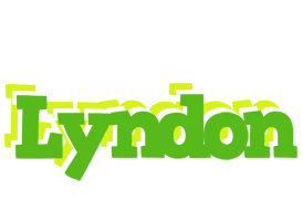 Lyndon picnic logo