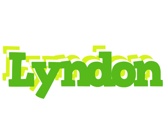 Lyndon picnic logo