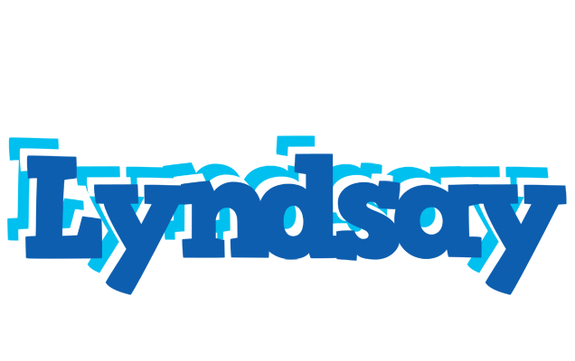 Lyndsay business logo
