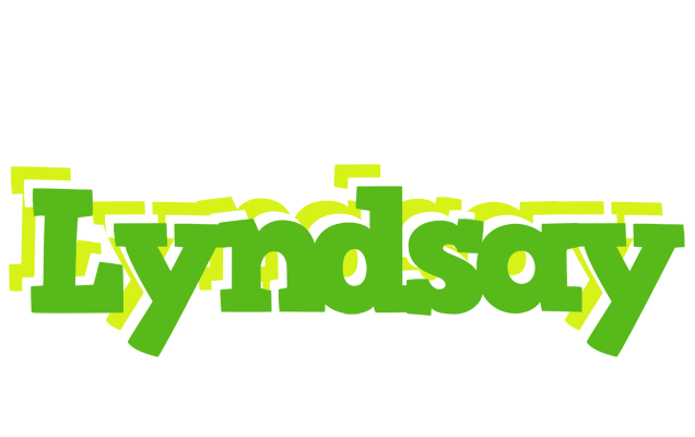 Lyndsay picnic logo