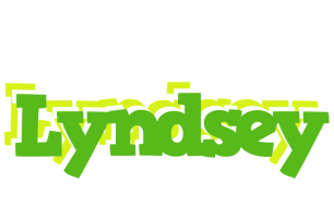 Lyndsey picnic logo