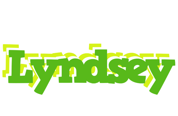 Lyndsey picnic logo