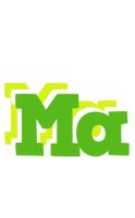 Ma picnic logo