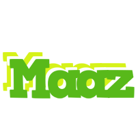 Maaz picnic logo