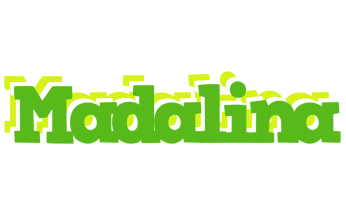 Madalina picnic logo