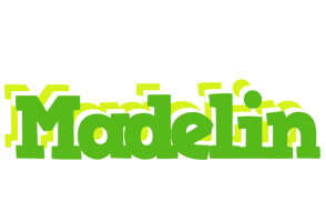 Madelin picnic logo