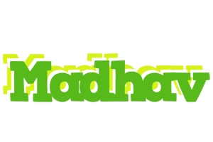 Madhav picnic logo