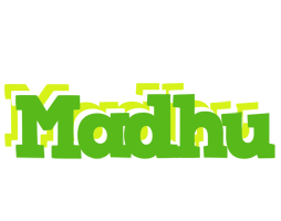 Madhu picnic logo