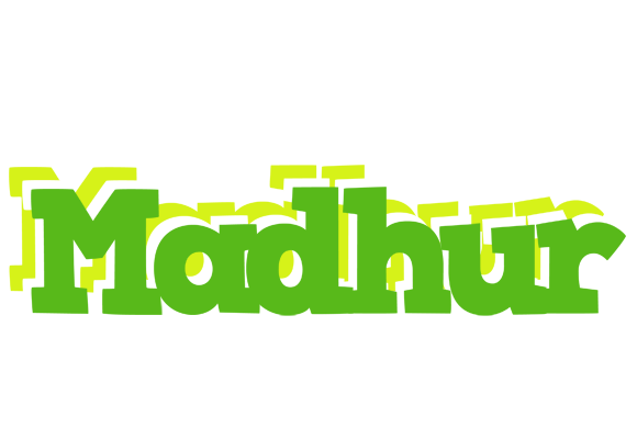 Madhur picnic logo