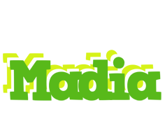 Madia picnic logo