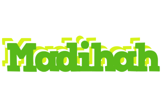 Madihah picnic logo