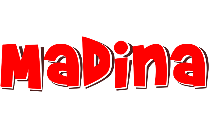 Madina basket logo