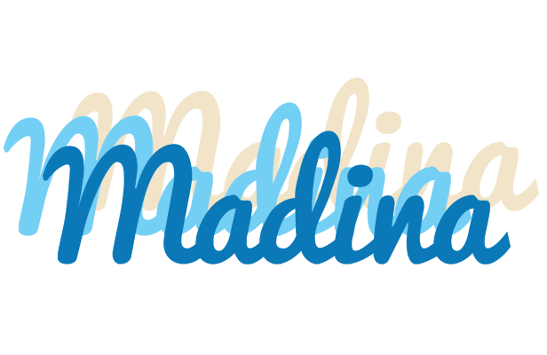 Madina breeze logo