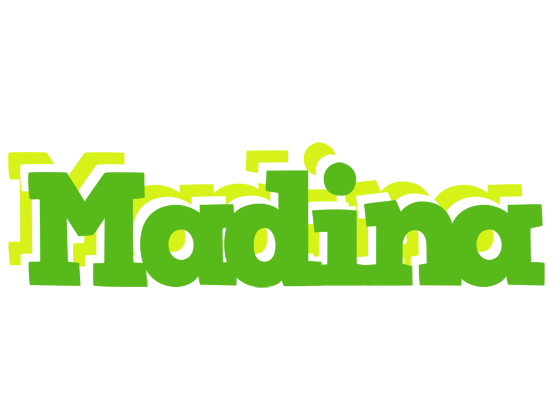Madina picnic logo
