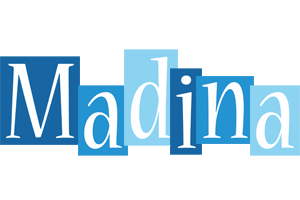 Madina winter logo
