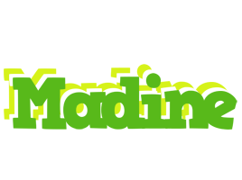 Madine picnic logo