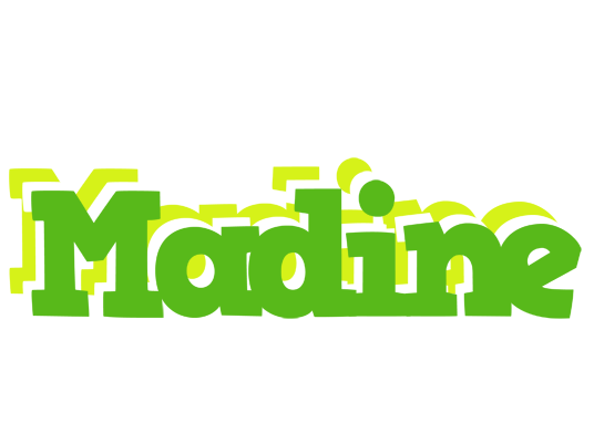 Madine picnic logo