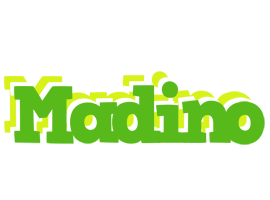 Madino picnic logo