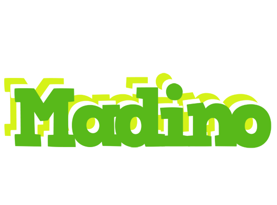 Madino picnic logo