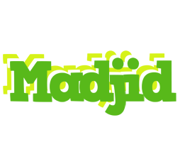 Madjid picnic logo