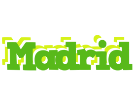 Madrid picnic logo