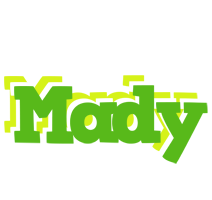 Mady picnic logo