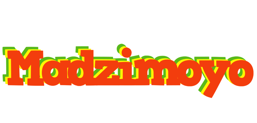 Madzimoyo bbq logo