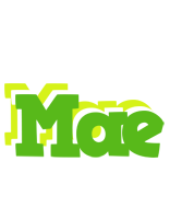 Mae picnic logo
