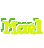 Mael citrus logo