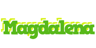 Magdalena picnic logo