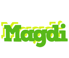 Magdi picnic logo