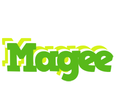 Magee picnic logo