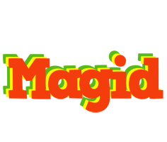 Magid bbq logo