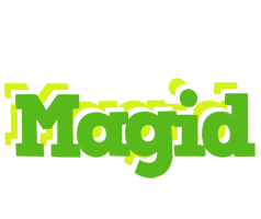 Magid picnic logo