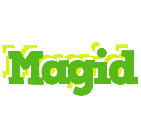 Magid picnic logo