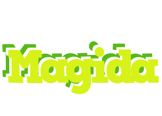 Magida citrus logo