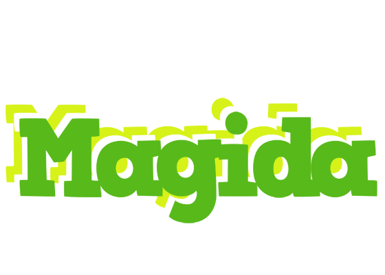 Magida picnic logo